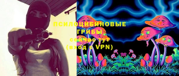 прущие крисы Аркадак